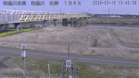 tonme2026031511_image