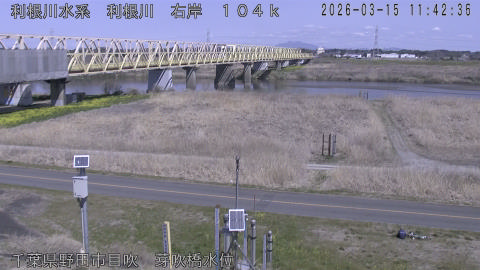 tonme2026031512_image