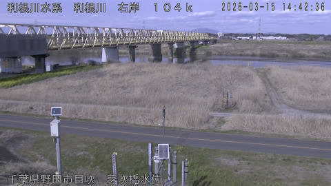 tonme2026031515_image