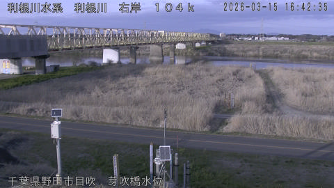 tonme2026031517_image