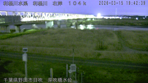 tonme2026031520_image