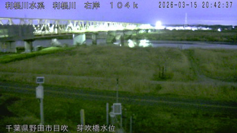 tonme2026031521_image