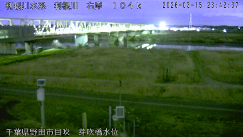 tonme2026031600_image