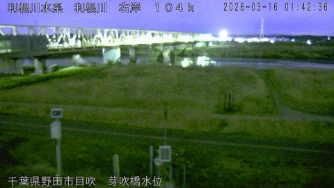 tonme2026031602_image