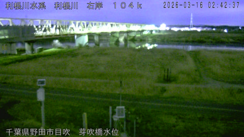 tonme2026031603_image