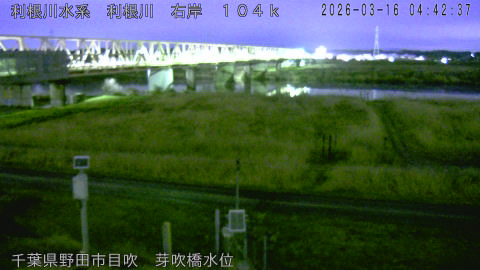 tonme2026031605_image