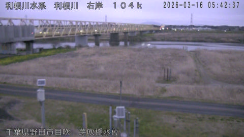 tonme2026031606_image