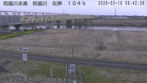 tonme2026031607_image