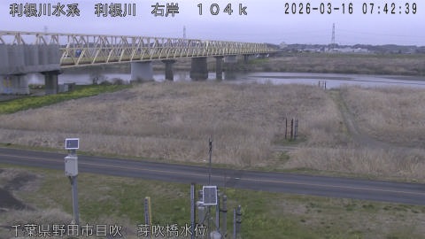 tonme2026031608_image