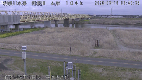 tonme2026031610_image