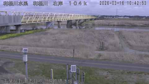 tonme2026031611_image