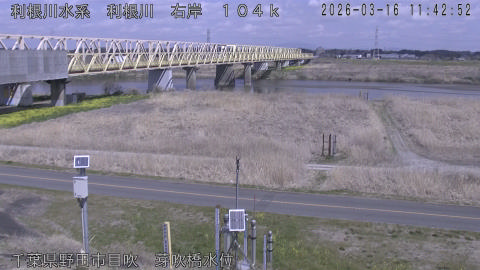 tonme2026031612_image