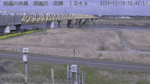 tonme2026031613_image