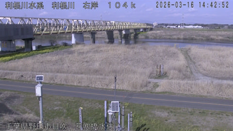 tonme2026031615_image