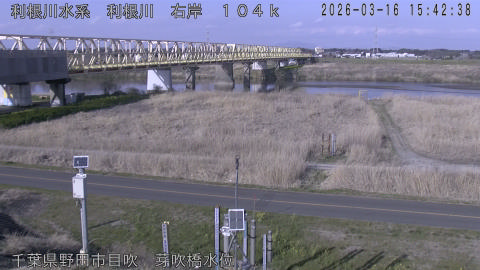 tonme2026031616_image