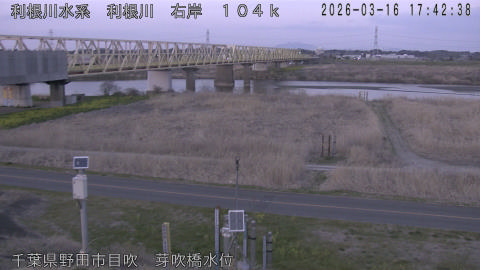 tonme2026031618_image