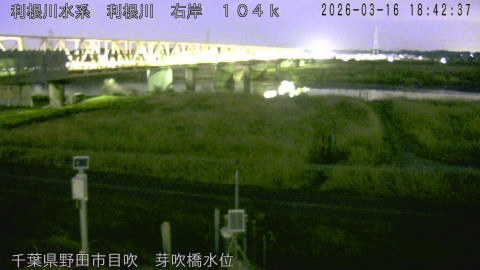 tonme2026031619_image