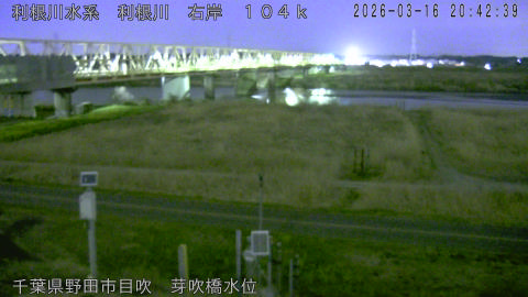 tonme2026031621_image