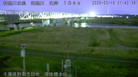 tonme2026031622_image