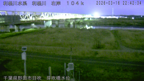 tonme2026031623_image