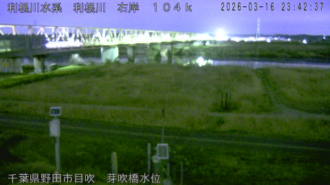 tonme2026031700_image