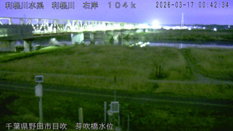 tonme2026031701_image