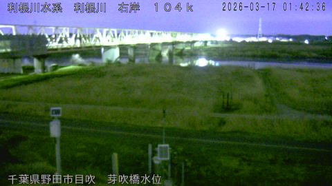 tonme2026031702_image