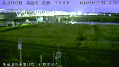 tonme2026031703_image