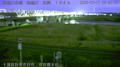 tonme2026031705_image