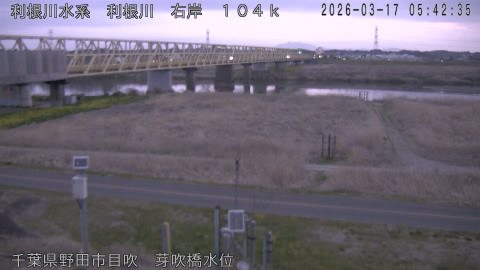 tonme2026031706_image