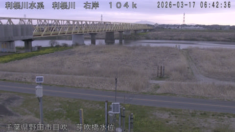 tonme2026031707_image