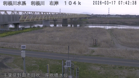 tonme2026031708_image