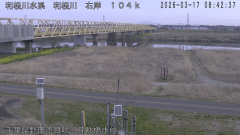 tonme2026031709_image