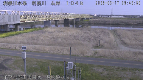 tonme2026031710_image