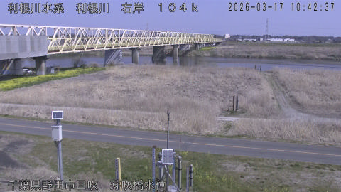 tonme2026031711_image