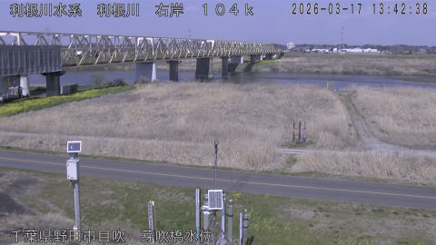 tonme2026031714_image