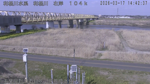 tonme2026031715_image