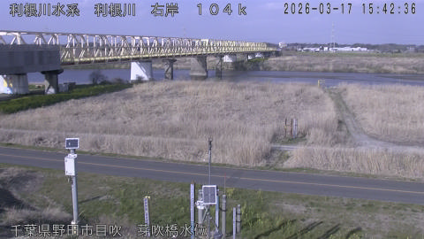 tonme2026031716_image