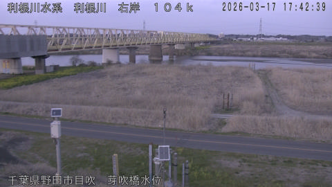 tonme2026031718_image