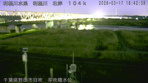 tonme2026031719_image