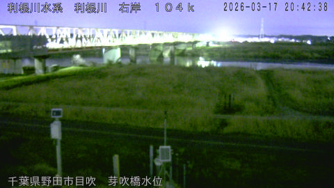 tonme2026031721_image