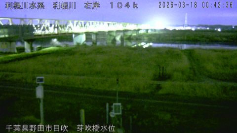 tonme2026031801_image