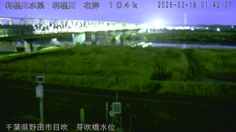 tonme2026031802_image