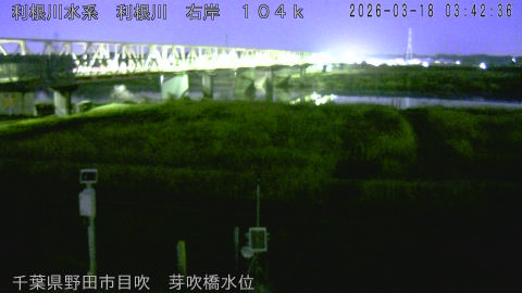 tonme2026031804_image