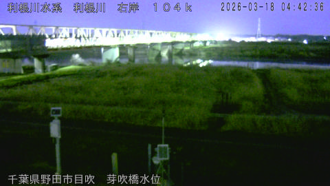 tonme2026031805_image