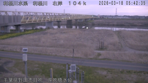 tonme2026031806_image