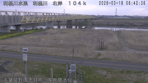 tonme2026031807_image