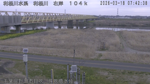 tonme2026031808_image