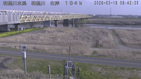 tonme2026031809_image