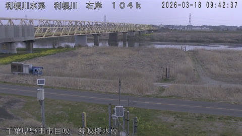 tonme2026031810_image